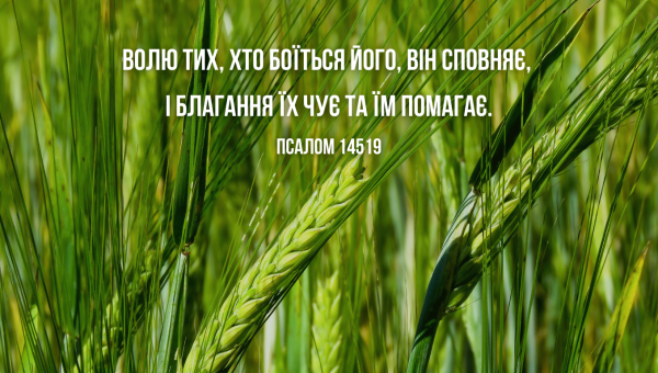 49/365 БОГ ВІДПОВІСТЬ