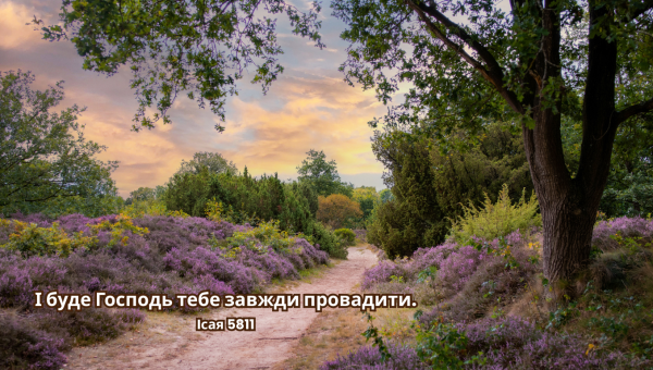 51/365 ПОСТІЙНЕ ПРОВАДЖЕННЯ
