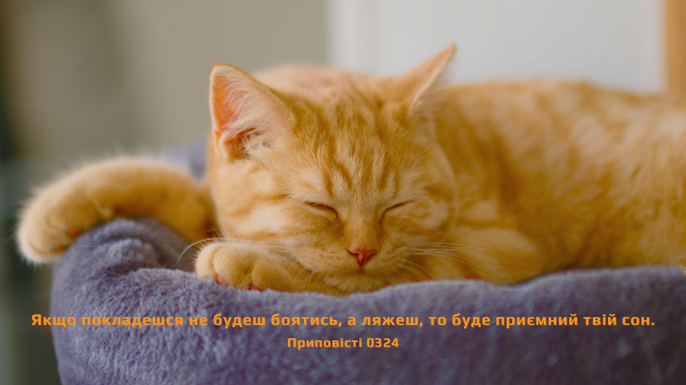 84/365 ОСВІЖАЮЧИЙ СОН