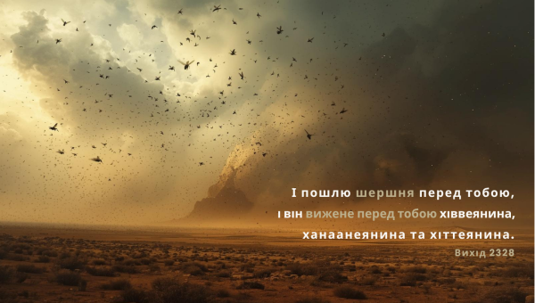 94/365 БОЖІ ШЕРШНІ