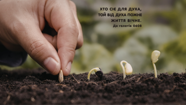 122/365 ДУХОВНЕ СІЯННЯ